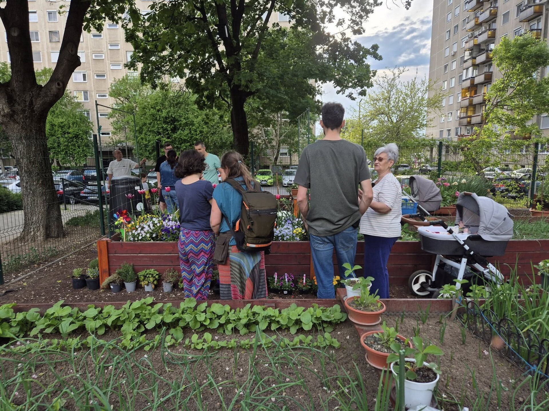 Inițiativă civică în București: cere legalizarea grădinilor comunitare pe domeniul public Zeci de organizații și grupuri civice din întreaga țară solicită autorităților locale să permită și să legalizeze grădinile comunitare pe domeniul public, o practică comună în multe orașe europene, dar încă interzisă în România