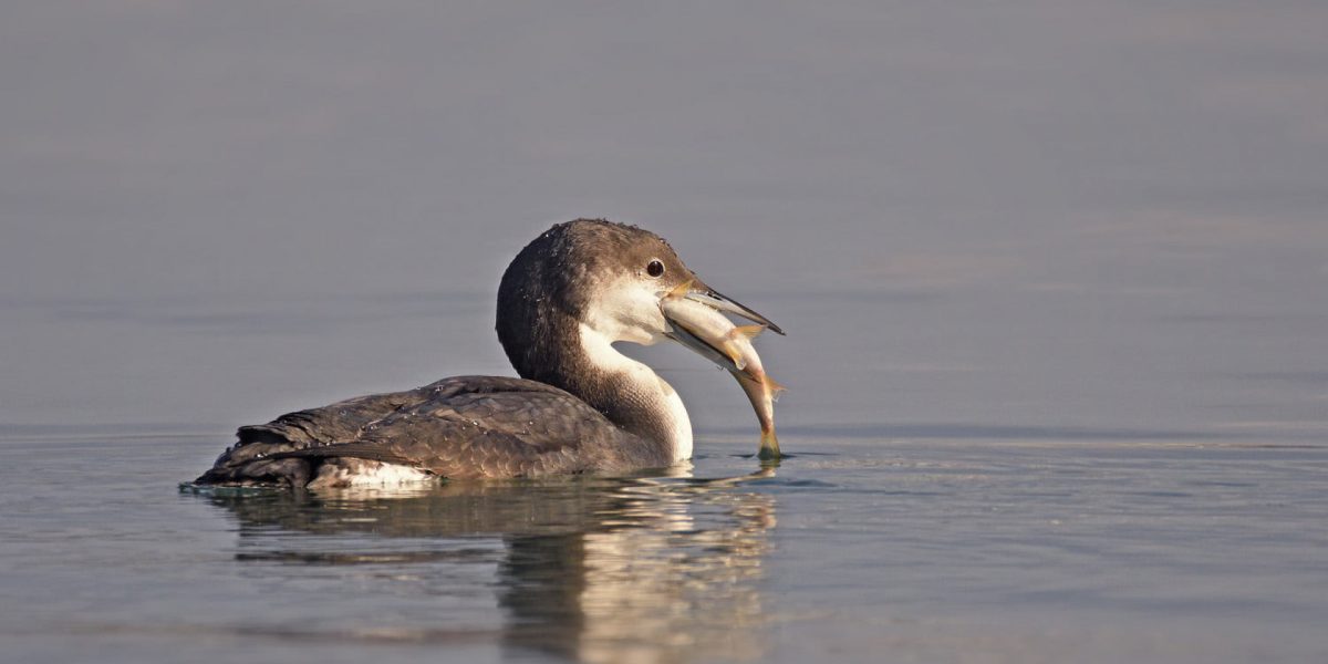 img_0059381206ca383b99438867b0852a8c.jpg - JurnalUrban