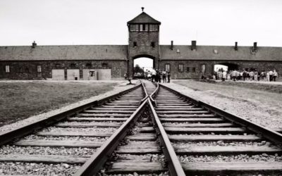 instagram-zdjecia-auschwitz-birkenau-1180x541-1-1000x485.jpg - JurnalUrban