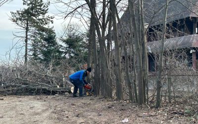 ior-aprc-1.jpg - JurnalUrban