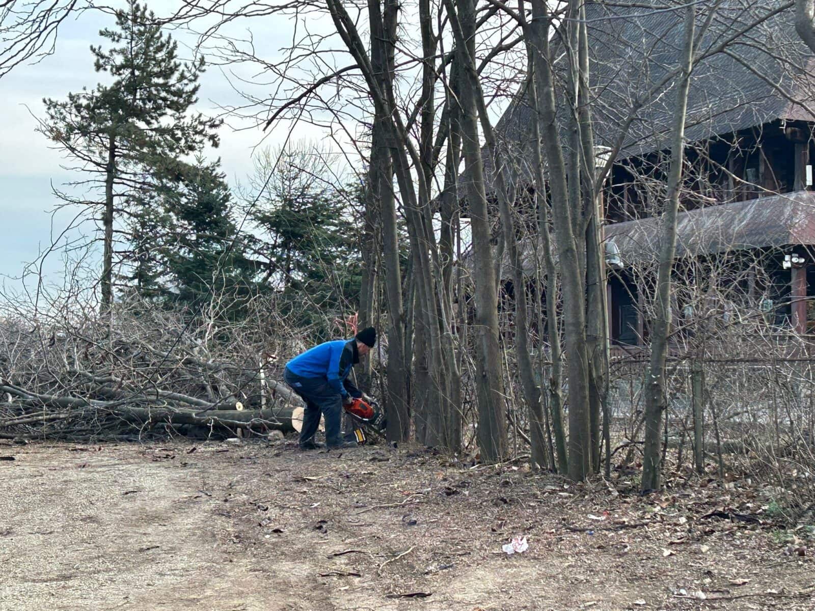 Dispute legale și devastare ecologică în zona retrocedată IOR-Titan: un teren de 12,2 hectaredevastat de incendii și tăieri ilegale În centrul unui proces judiciar de amploare și al unor probleme ecologice dezastruoase se află terenul de 12,2 hectare situat în zona IOR-Titan din București