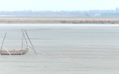 lacul-amara-buzau-secat.jpg - JurnalUrban