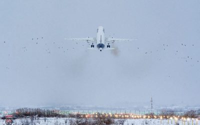 lufthansa_a320_d-aizp_cluj_260104_1-1.jpg - JurnalUrban