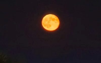 luna-4-e1767379918868.jpg - JurnalUrban