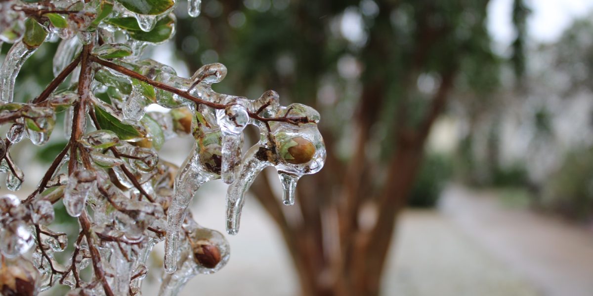 meteo-1.jpg - JurnalUrban