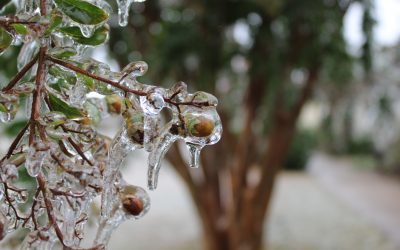 meteo-1.jpg - JurnalUrban