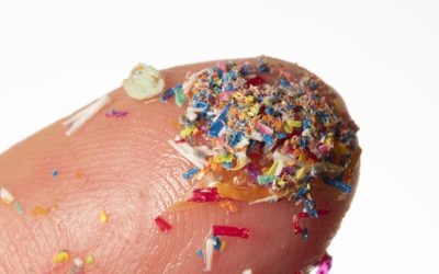 microplastice-e1724489538371.jpg - JurnalUrban