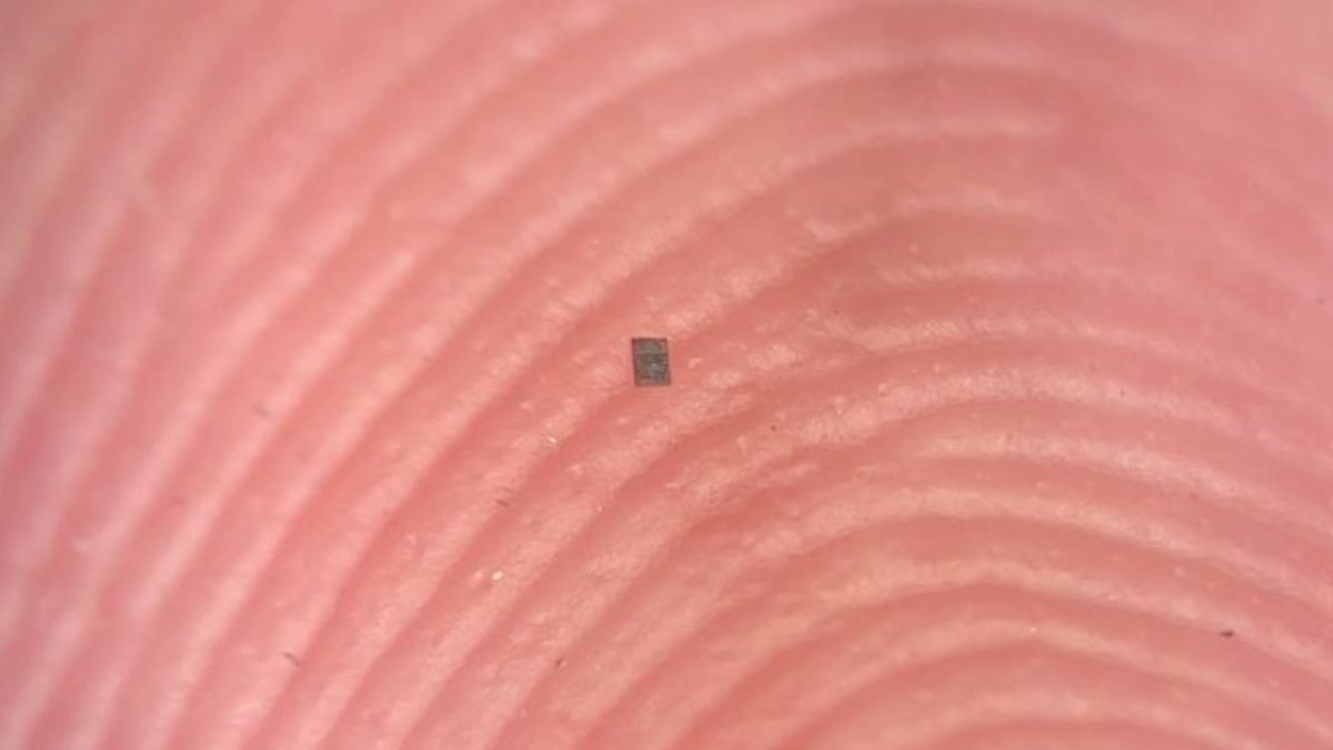 Un robot microscopic revoluționează domeniul roboticii