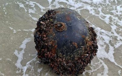 mina-marina-marea-neagra-e1756664676359.jpg - JurnalUrban