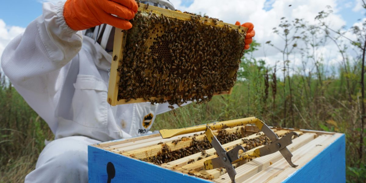 pexels-foolishmo-8227213.jpg - JurnalUrban