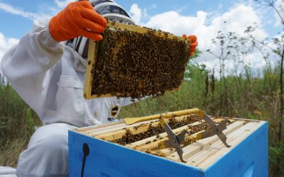 pexels-foolishmo-8227213.jpg - JurnalUrban