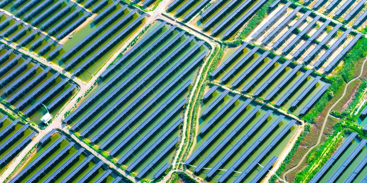 profimedia-1028956324.jpg - JurnalUrban