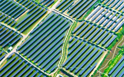 profimedia-1028956324.jpg - JurnalUrban