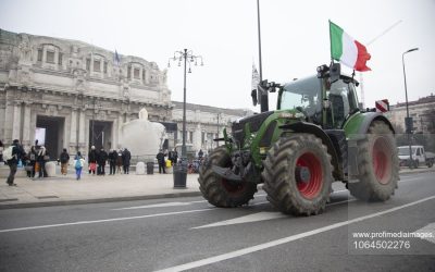 profimedia-1064502276.jpg - JurnalUrban