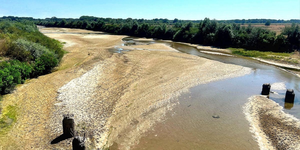 rau-secat-2.jpg - JurnalUrban