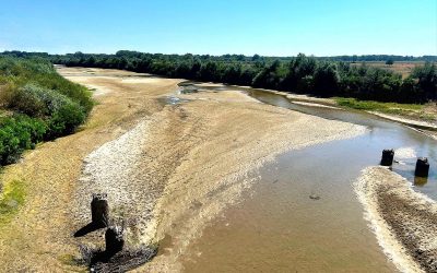 rau-secat-2.jpg - JurnalUrban