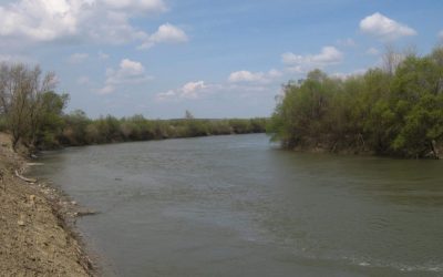 raul-prut-e1644224400143.jpeg - JurnalUrban