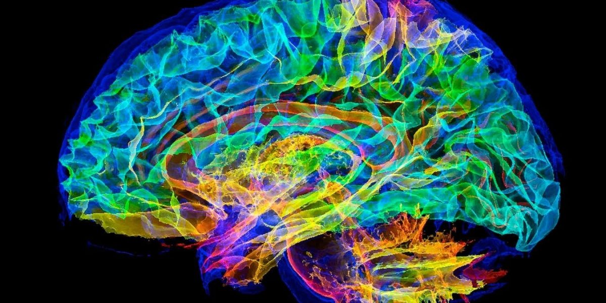 simulare-creier-uman-supercomputer.jpg - JurnalUrban