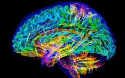 simulare-creier-uman-supercomputer.jpg - JurnalUrban