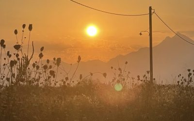 soare-caldura-canicula-fotoo-g4media-o-hategan.jpg - JurnalUrban