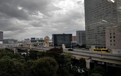 tokyo-japonia-infrastructura-rutiera-inn-tokyo-trafic-in-Tokyo-pod-in-tokyo-pod-rutier.jpeg - JurnalUrban