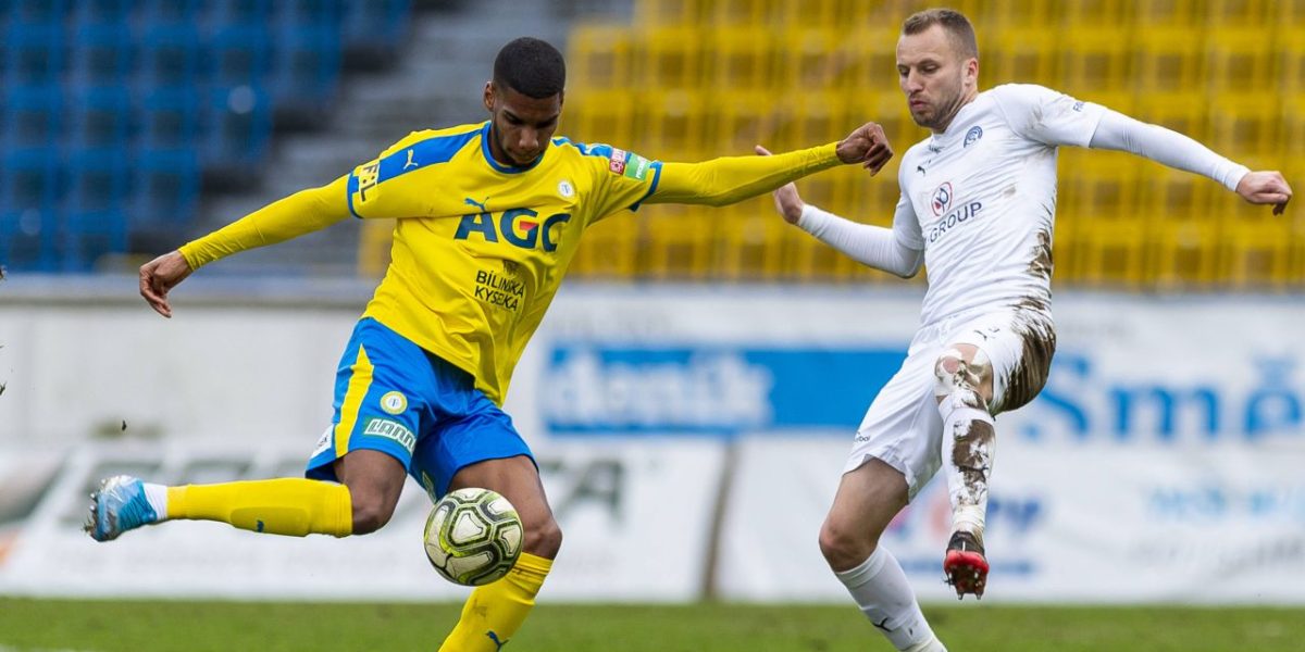 toutou-imago47014849.jpg - JurnalUrban