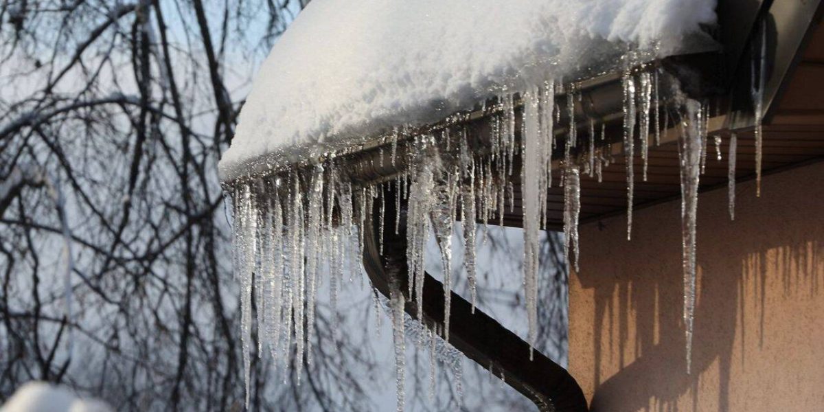 turturi.jpg - JurnalUrban