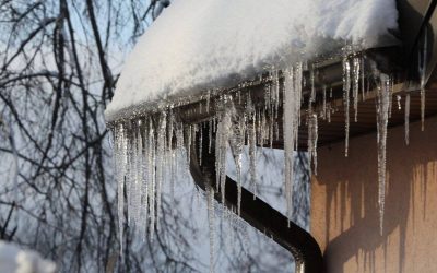 turturi.jpg - JurnalUrban