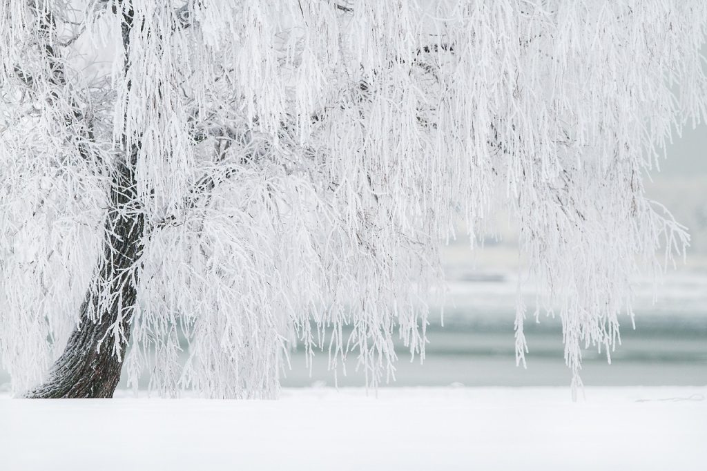 Iarnă aspră pentru români: Cod galben și portocaliu de ninsori și polei pe întreaga țară Pe fondul viscolului și al temperaturilor în scădere, administrația meteorologică a emis, duminică, avertizări deosebit de grave pentru întreaga țară, valabile până marți dimineața