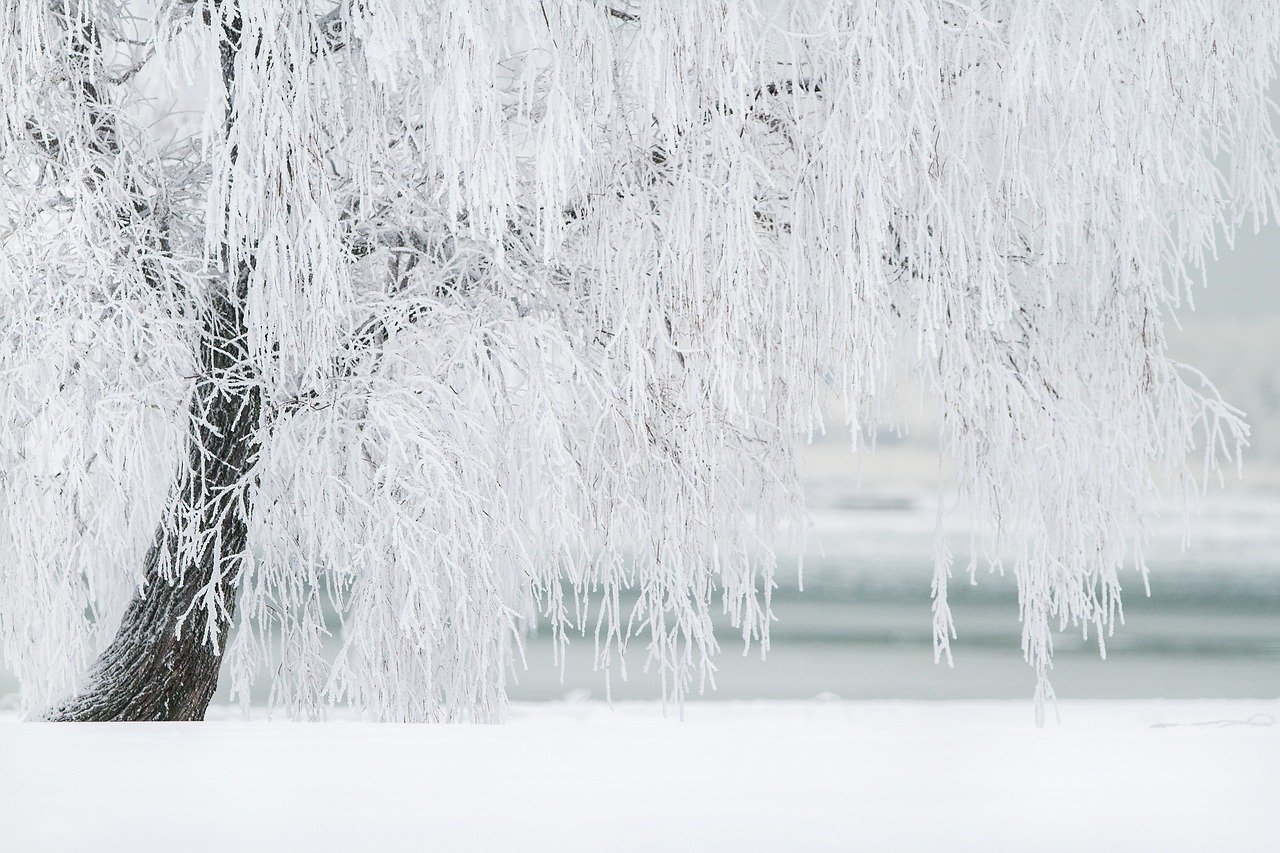 Iarnă aspră pentru români: Cod galben și portocaliu de ninsori și polei pe întreaga țară Pe fondul viscolului și al temperaturilor în scădere, administrația meteorologică a emis, duminică, avertizări deosebit de grave pentru întreaga țară, valabile până marți dimineața