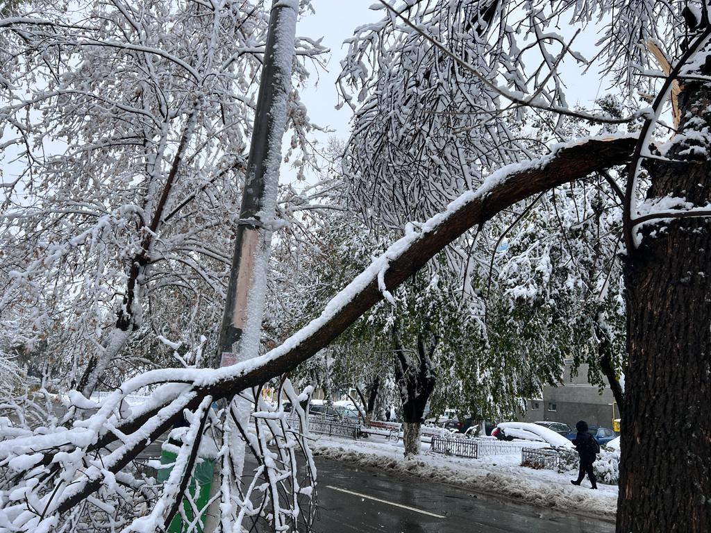 Trafic îngreunat și electricitate întreruptă în județele Hunedoara și Timiș din cauza ninsorii abundente Zăpada a fost proverbiala “călăuză” a zilelor de foc pentru locuitorii din județele Hunedoara și Timiș, unde peste 7.000 de gospodării continuă să fie deconectate de la rețeaua electrică, potrivit celor mai recente informații ale autorităților locale și ale echipelor de intervenție