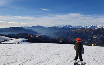 zapada-schi.jpg - JurnalUrban