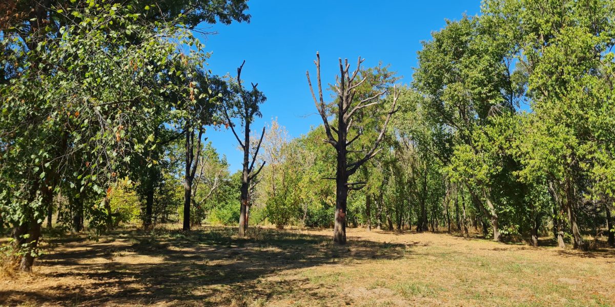 02-01-05_20250923_124228-scaled.jpg - JurnalUrban