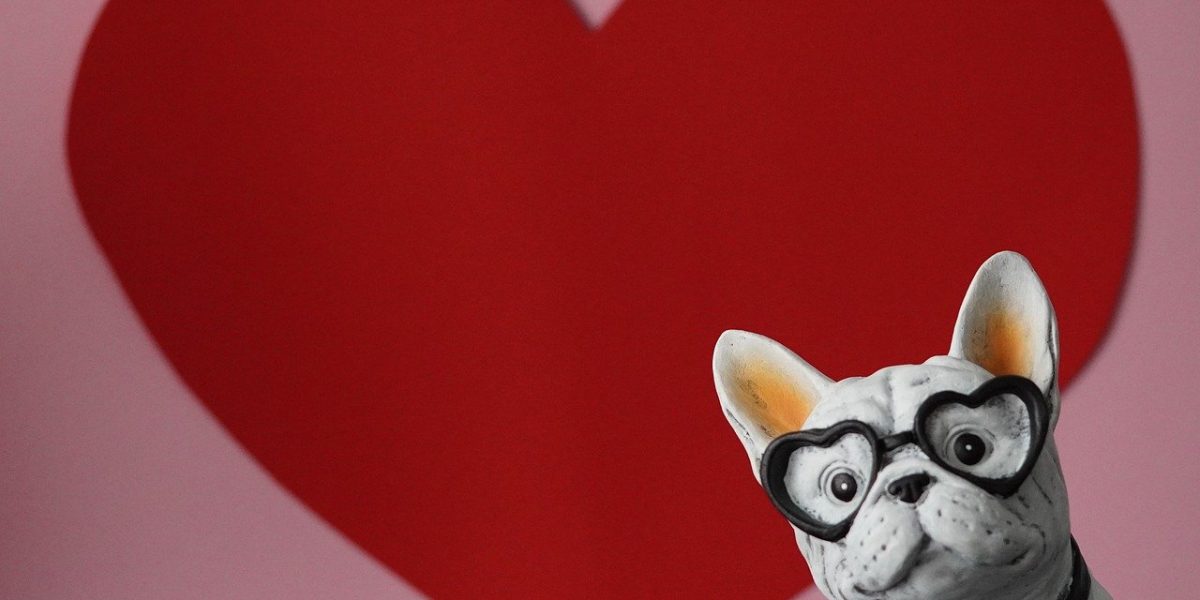 13-19-februarie_pixabay.jpg - JurnalUrban