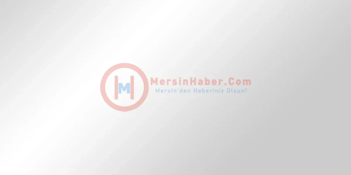 537532.webp.webp - JurnalUrban