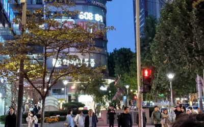 Coreea-de-Sud-Seul-zona-centrala-e1698419320414.jpeg - JurnalUrban