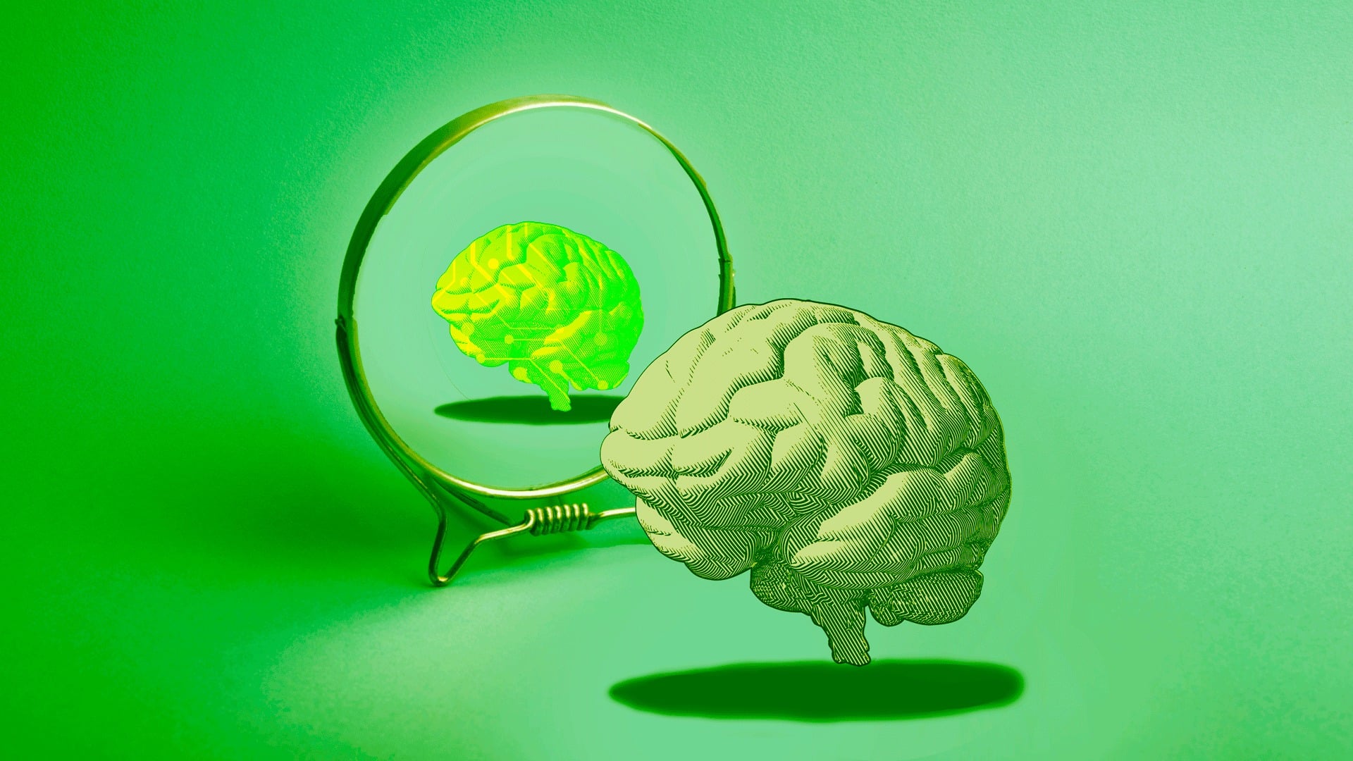 Interacțiunea cu chatbot-ii bazate pe inteligență artificială poate induce utilizatorii în eroare, făcându-i să se creadă mai informați și mai inteligenți decât sunt în realitate