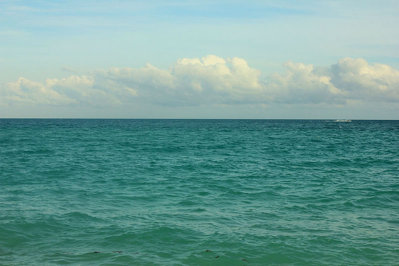 Gfp-florida-miami-ocean-and-horizon.jpg - JurnalUrban