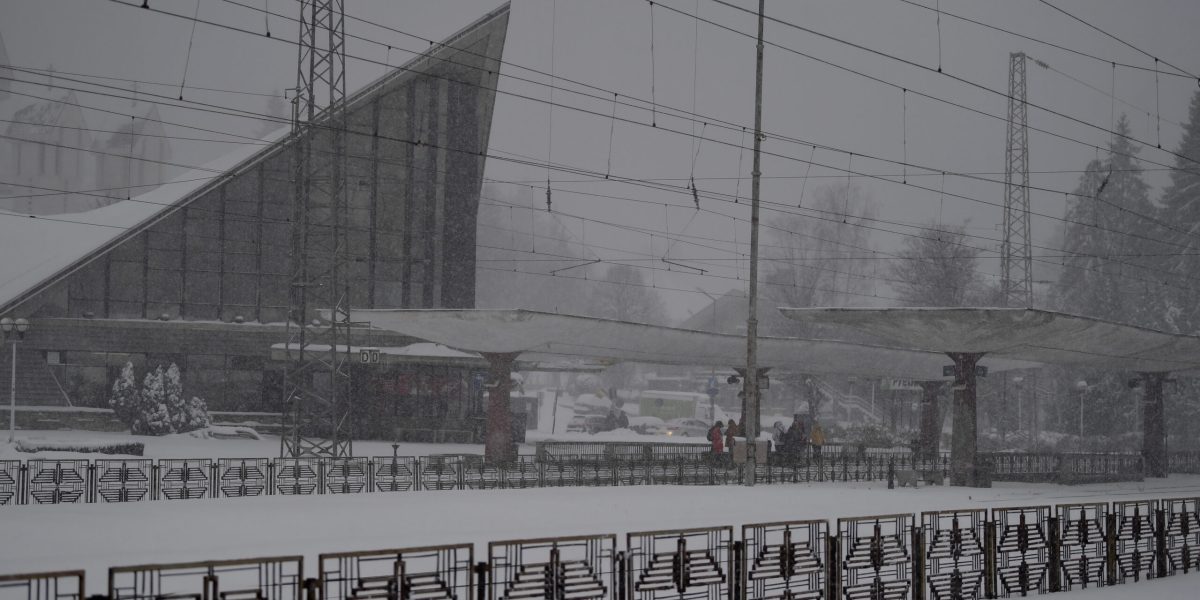 ID239030_INQUAM_Photos_Alex-Nicodim_-scaled.jpg - JurnalUrban