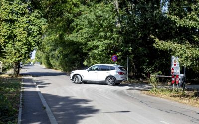 ID317768_INQUAM_Photos_Ovidiu_Micsik-scaled.jpg - JurnalUrban