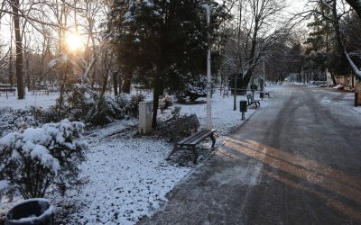 ID330501_INQUAM_Photos_George_Calin-1-e1770545727817.jpg - JurnalUrban