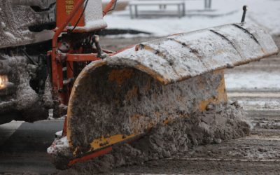 ID330600_INQUAM_Photos_George_Calin-1000x667.jpg - JurnalUrban