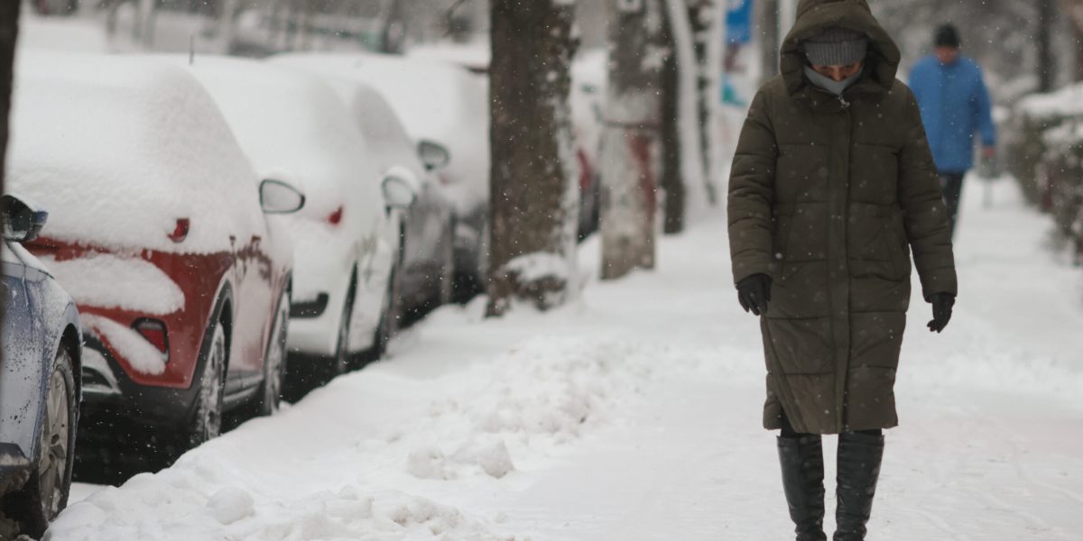 ID330608_INQUAM_Photos_George_Calin-scaled-e1771233493829.jpg - JurnalUrban