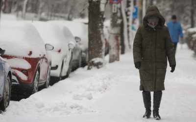 ID330608_INQUAM_Photos_George_Calin-scaled-e1771233493829.jpg - JurnalUrban