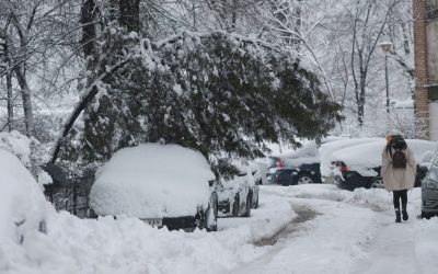 ID333964_INQUAM_Photos_George_Calin-scaled.jpg - JurnalUrban