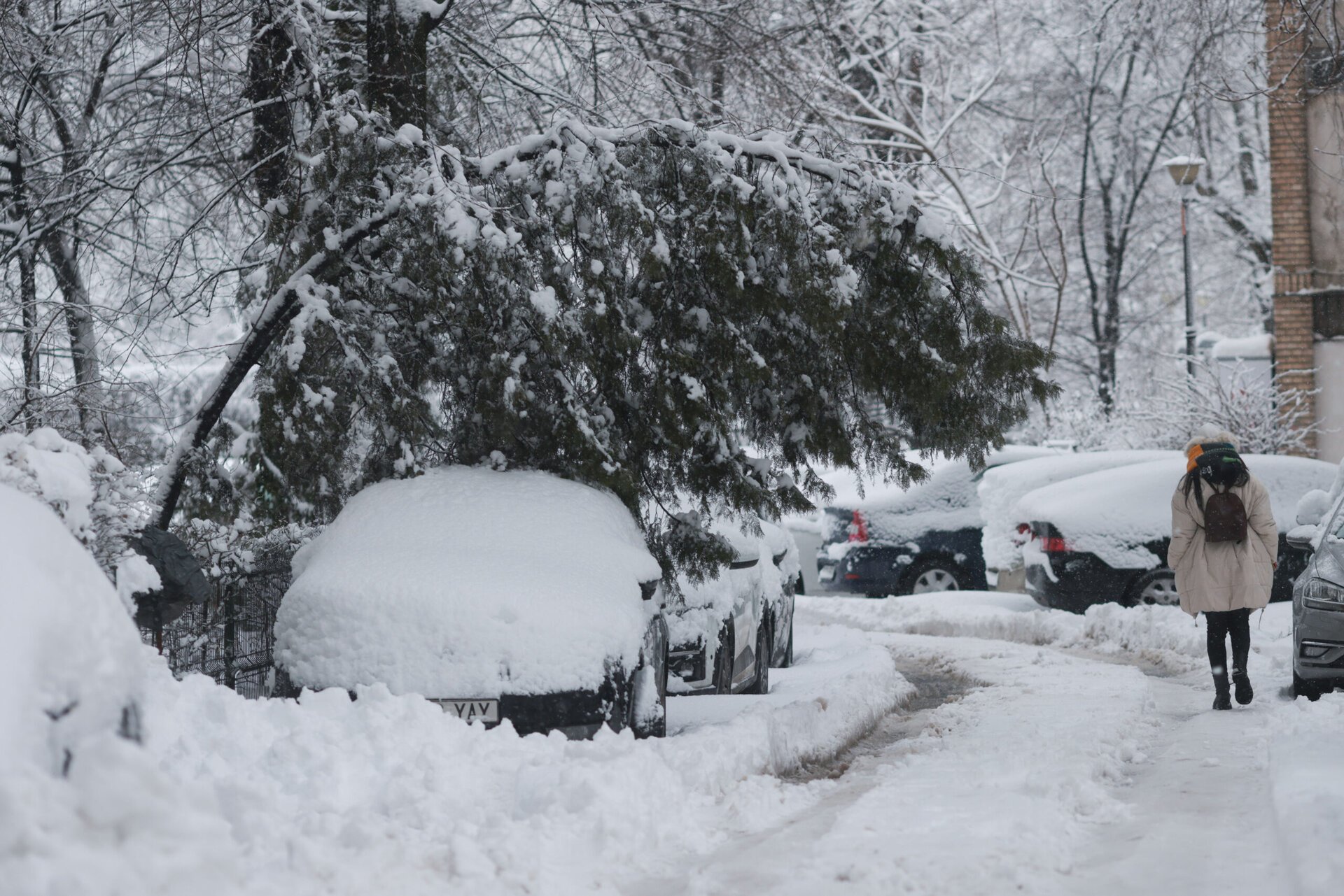 Revenirea bruscă a iernii a transformat capitalele României într-un câmp de bătălie cu natura, provocând daune majore în toate sectoarele din București și Ilfov