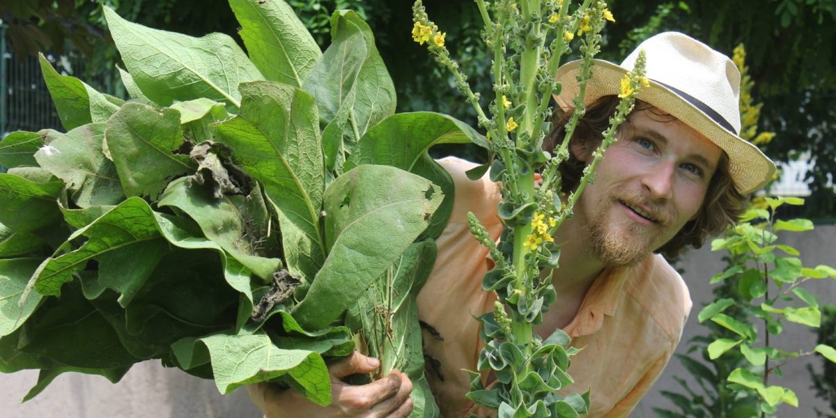 Ionut-Badica.jpg - JurnalUrban