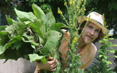 Ionut-Badica.jpg - JurnalUrban