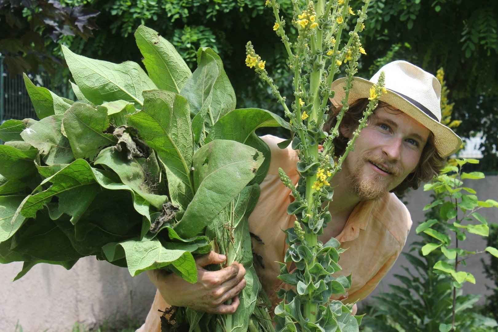 Mazarea de toamnă, o cultură încă percepută de mulți fermieri din România ca fiind relativ nouă, începe să-și confirme avantajele în contextul agriculturii moderne