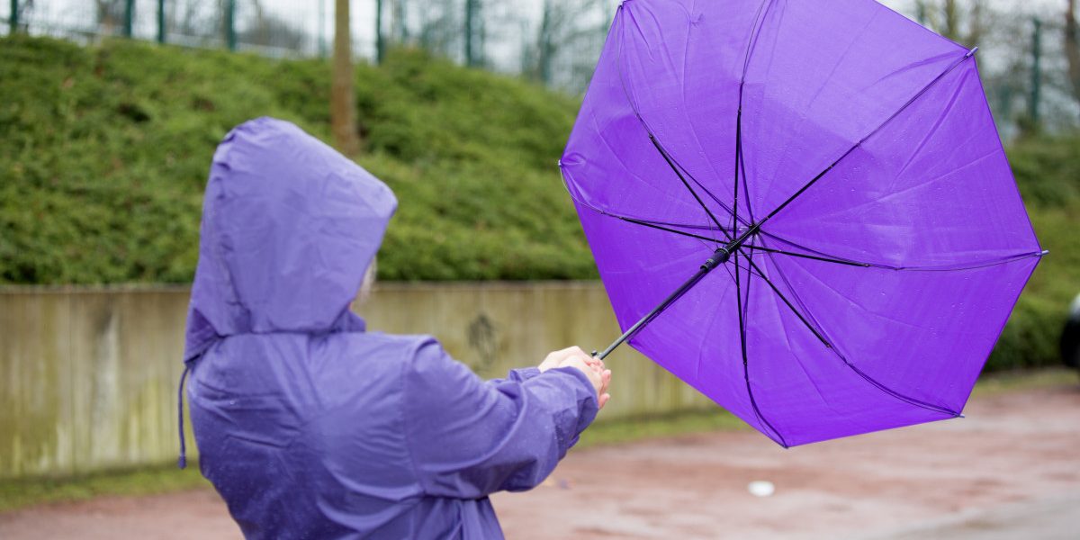 Jmhhc2g9OWZjNzdiMzExNWJhMjcyMzNhZGNmYmFmMWZkOWJhZDk.thumb_.jpg - JurnalUrban